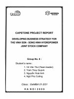 Developing business strategy for the Vinh Son - Song Hinh hydropower joint stock company