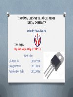 Tiểu luận  Họ linh kiện 4 lớp ( TRIAC)