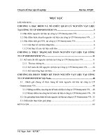 Hoàn thiện kế toán nguyên vật liệu  tại Công ty CP Omnisystem Việt Nam