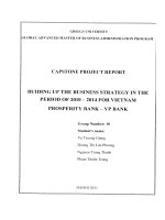 Building up the business strategy in the period of 2010-2014 for Vietnam prosperity Bank - VP Bank
