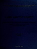 Phân tích và lựa chọn chiến lược phát triển cho công ty cổ phần may Hồ Gươm giai đoạn 2007 - 2012