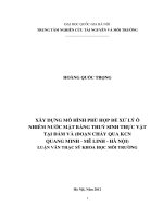 Xây dựng mô hình phù hợp để xử lý ô nhiễm nước mặt bằng thủy sinh thực vật tại Đầm Và (đoạn chảy qua KCN Quang Minh - Mê Linh - Hà Nội)