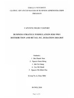 Business strategy formulation for VNF1 Distribution and Retail JSC, duration 2010-2015