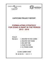 Formulating strategyfor dong a paint in the period 2012 - 2016