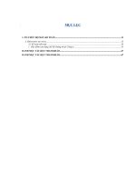 Hình thức kế toán và tổ chức bộ máy kế toán trong công ty công ty cổ phần thuơng mại gia trang