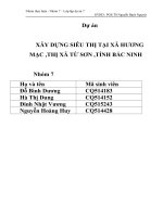 Dự án xây dựng siêu thị tại xã hương mạc thị xã từ sơn ,tỉnh bắc ninh