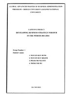 Developing business strategy for BVB in the period 2013-2016