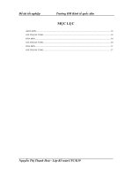 Hoàn thiện kế toán doanh thu,chi phí và kết quả kinh doanh tại công ty cổ phần đầu tư Hữu Nghị