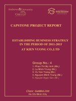 Establishing business strategy in the period of 2011 - 2015 at Kien Vuong CO., LTD