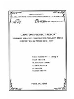 Business strategy construction for Joint Stock Company No. 482 period 2013-220