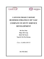 Business strategy of VASC company in MYTV service development