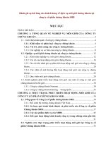 Luan van phát triển dịch vụ môi giới chứng khoán tại công ty SHBS