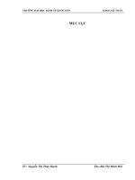Hoàn thiện kế toán bán hàng tại công ty cổ phần đầu tư thương mại và dịch vụ toàn việt