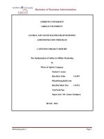 The optimization of online & offline marketing in wines & spirits company