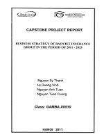 Business strategy of Bao Viet insurance group in the period of 2011 - 2015