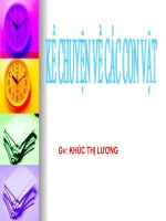 slide thuyết trình Kể chuyện về các con vật