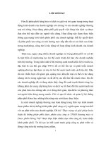 Thực trạng và giải pháp hoàn thiện hệ thống phân phối dược phẩm của công ty TNHH thương mại và dược phẩm hưng việt