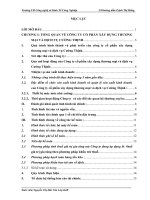 Hạch toán kế toán bán hàng và xác định KQKD tại Công ty CP  Cường Thịnh