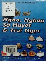 Kỹ thuật nuôi ngao, nghêu, sò huyết, trai ngọc