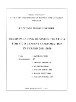 Recommendung business strategy for FICO Cement Corporation in period 2011-2020