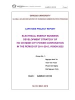 Electrical energy business development strategy of Ho Chi Minh City power corporationin the period of 2011-2015, vision 2025