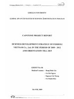 Business development strategy of ferroli Vietnam Co., Ltd. In the period of 2009 - 2012 and orientation till 2015