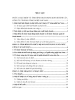 TÌNH HÌNH HOẠT ĐỘNG KINH DOANH CỦA CÔNG TY CỔ PHẦN CÔNG NGHỆ SAN NAM