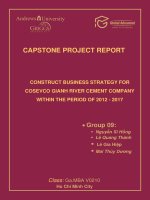 Construct business strategy for cosevco Gianh river cement compan within the period of 2012 - 2017