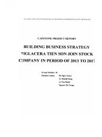 Building business strategy VIGLACERA Tien Son Joint Stock Company in period of 2013 to 2017