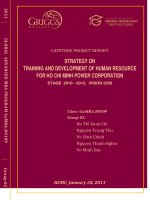 Strategy on training anddevelopment of human resource for Ho Chi Minh power corporation stage 2010 - 2015, vision 2020