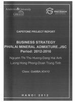 Busines strategy Pha Lai Mineral Admixture.,JSC period 2012-2016