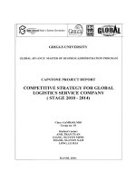Competitive strategy for global logistics service company (stage 2010 - 2014)