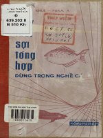 Dây lưới sợi tổng hợp dùng trong nghề cá