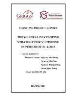 The general developing strategy for vicostone in period of 2012-2013