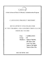 Development strategies for Au Viet Trading and Construction Co., Ltd from 2013 to 2018