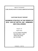 Business strategy in the period of 2010-2015 of Viettel JSC - Demands and challenges