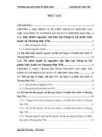 Hoàn thiện Kế toán nguyên vật liệu tại công ty cổ phần Sản Xuất và Thương Mại 3TK