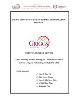 Building business strategy for Gianh River Cosevco Cement Company within the period of 2010 -2015