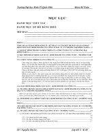 Tổ chức bộ máy kế toán và hệ thống kế toán tại công ty đầu tư và thương mại đông nam á