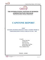 Building business strategy for Cu Chi bio-chemical fertilizer joint stock company in 2013 - 2018