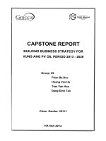 Building business strategy for Vung Ang PV Oil period 2013-2020