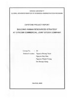 Buiding human resources strategy at Citicom commercial joint stock company
