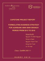 Formulating business strategy for Agribank Ninh Binh branch period from 2013 to 2018