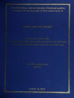 Chiến lược phát triển công ty TNHH kiểm toán độc lập quốc gia việt nam trong môi trường kiểm toán độc lập việt nam