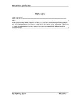 Tổ chức bộ máy kế toán và hệ thống kế toán tại công ty TNHH Xử lý nền móng công trình Đất Việt