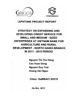 Strategy on expanding and developing credit service for small and medium - Sized enterprises at VietNam bank for agriculture and rural development - North Ha Noi branch in 2011