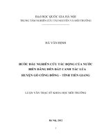 Bước đầu nghiên cứu tác động của nước biển dâng đến đất canh tác lúa huyện Gò Công Đông - tỉnh Tiền Giang