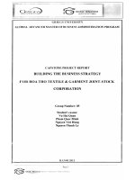 Building busines strategy for Hoa Tho Texttile & Garment Joint-Stock Corporation