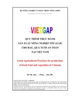Qui trình thực hành sản xuất nông nghiệp tốt ( GAP) cho rau, quả tươi an toàn tại Việt Nam
