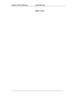 THỰC TRẠNG TỔ CHỨC HẠCH TOÁN KẾ TOÁN TẠI CÔNG TY TNHH ĐIỆN – ĐIỆN TỬ 3C